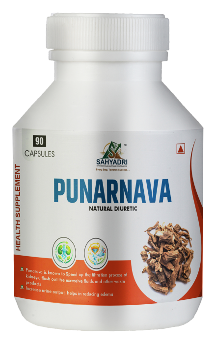 Punarnava